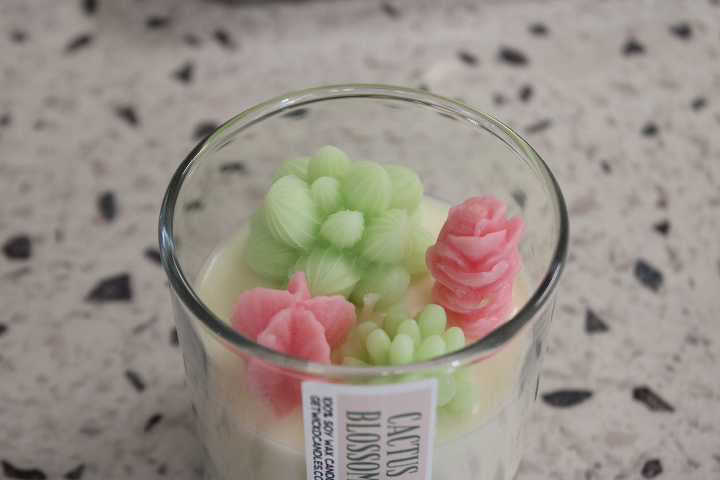 Terrarium Candle