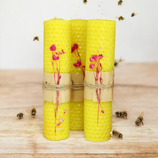 Rolled Beeswax Candle