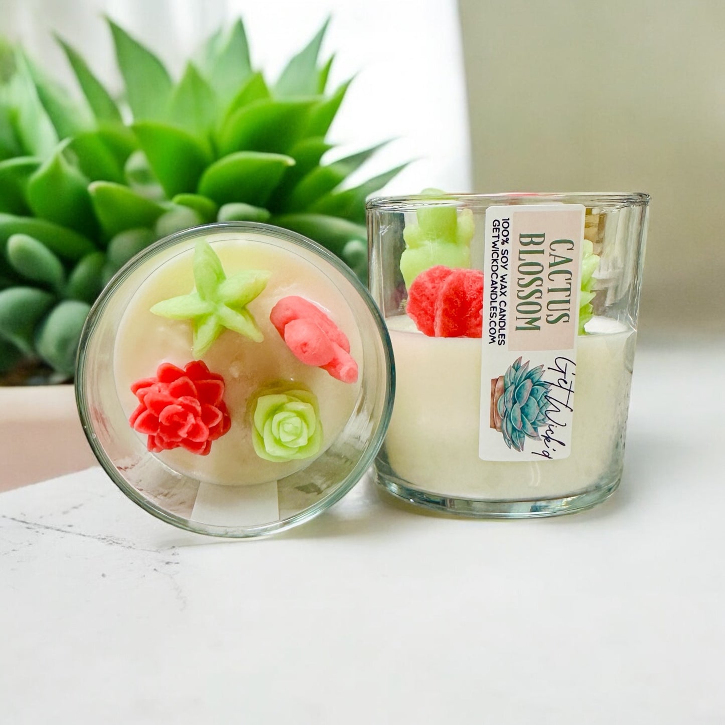 Terrarium Candle